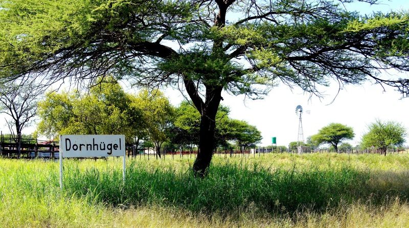 Dornhuegel Guestfarm Hotel Grootfontein Luaran gambar