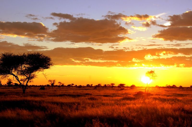 Dornhuegel Guestfarm Hotel Grootfontein Luaran gambar